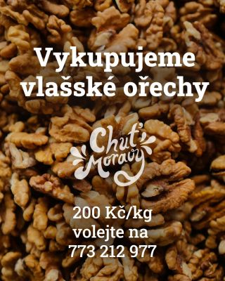 Vykupujeme vlašské ořechy původem z Moravy. 🌰 Vyloupaná zdravá jádra bez skořápek. Cena 200 Kč/kg. Místo výkupu je u nás...